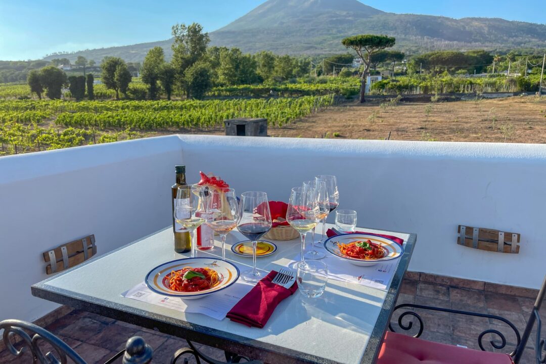Degustazione di vini biologici e pranzo sul Vesuvio