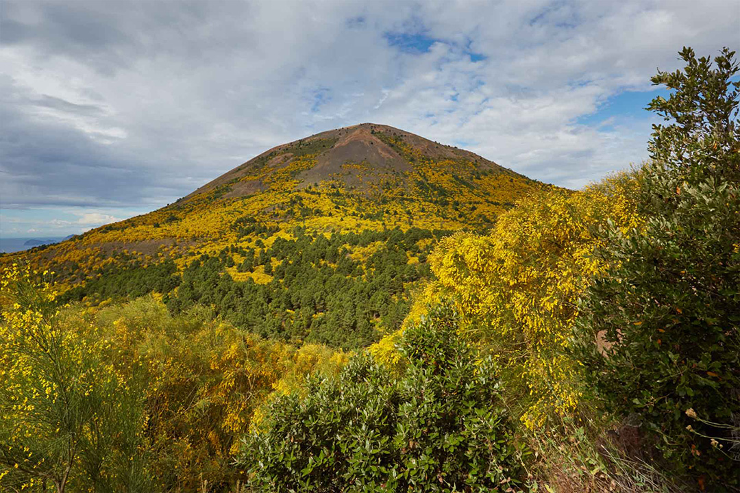 Parco Nazionale del Vesuvio